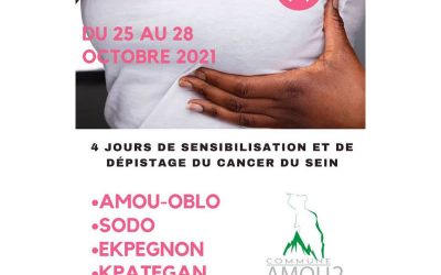 Projet de Sensibilisation de lutte contre le cancer de seins dans Amou 2